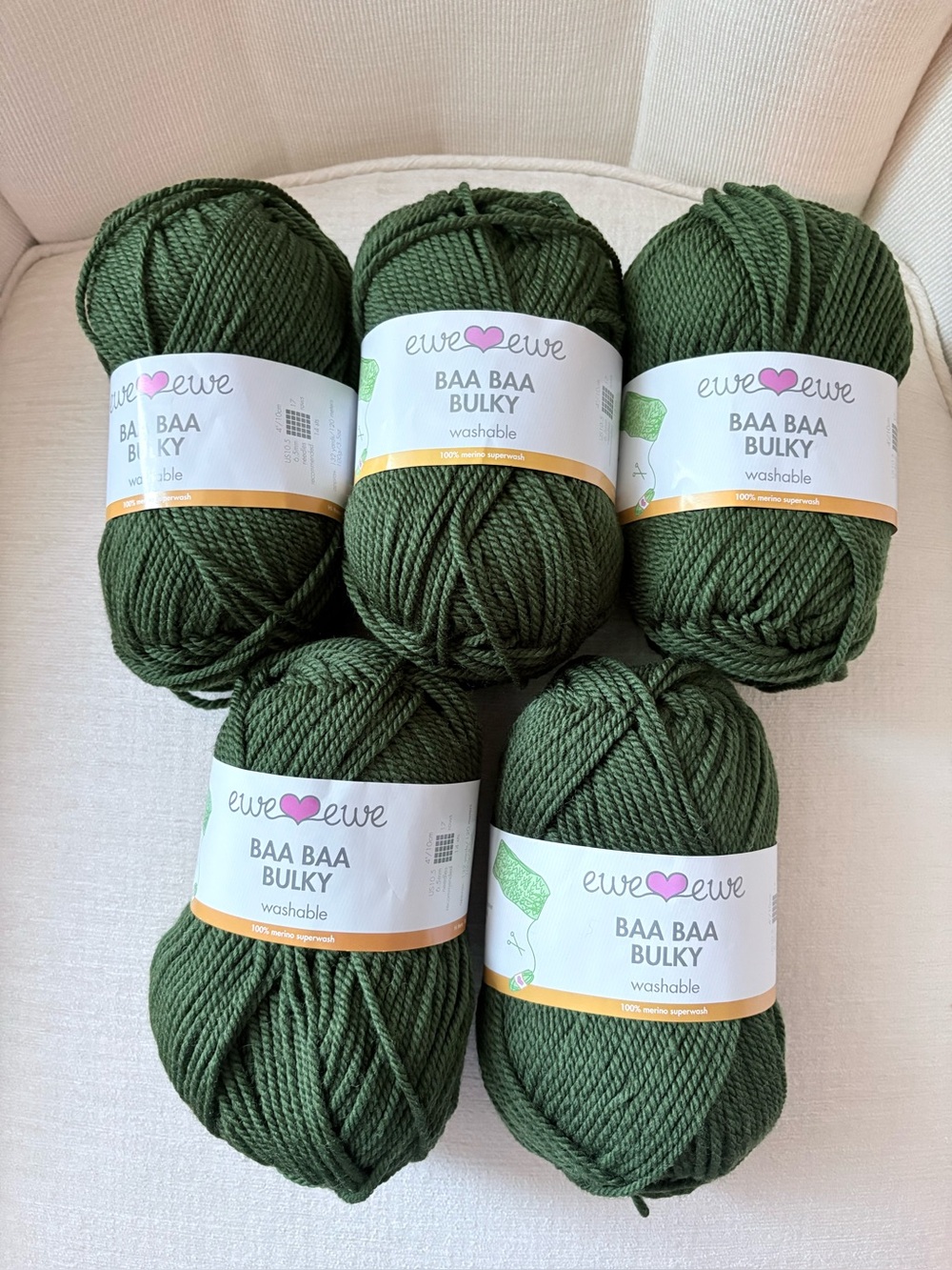 Ewe Ewe Baa Baa Bulky Yarn - Merino Green 5 skeins same dye lot